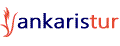 Ankaristur